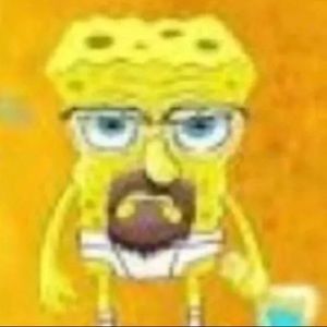 Meet your Posher, Carter